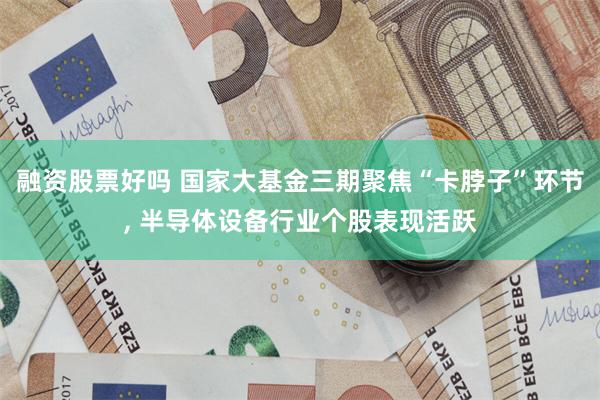 融资股票好吗 国家大基金三期聚焦“卡脖子”环节, 半导体设备行业个股表现活跃