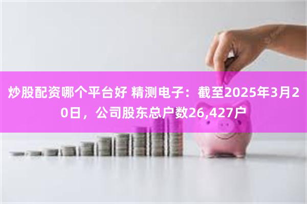 炒股配资哪个平台好 精测电子：截至2025年3月20日，公司股东总户数26,427户