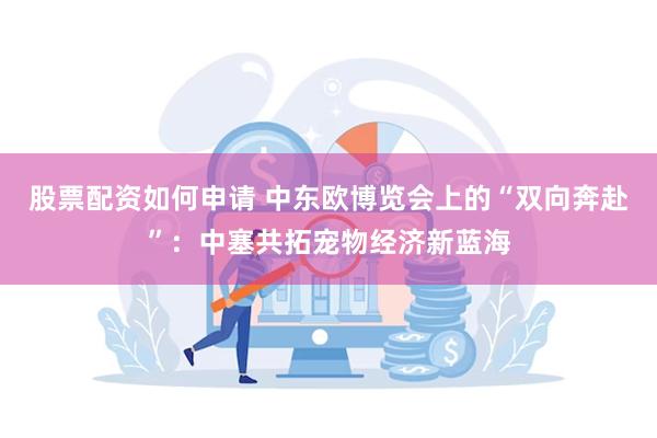 股票配资如何申请 中东欧博览会上的“双向奔赴”：中塞共拓宠物经济新蓝海